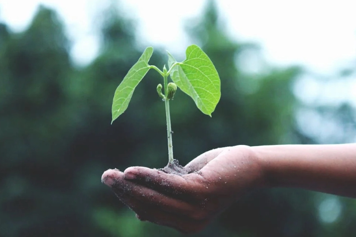 udvikling fonden kurreholm børne- og ungehjem socialpædagoisk opholdssted